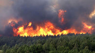 رشیدی: پرونده آتش سوزی جنگل ها در کمیسیون اصل 90 مجلس / نگاه کلانتری به محیط زیست تاسف بار است
