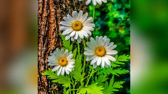 فال ابجد عشق 17 شهریور