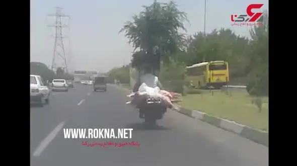 حمل غیر بهداشتی گوشت گرم با موتورسیکلت! + فیلم 