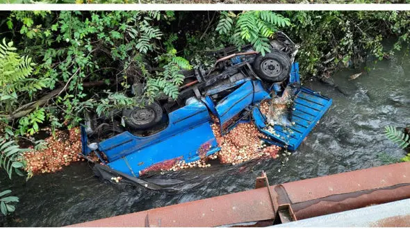 نیسان و پیازها ته دره له شدند/ عکس