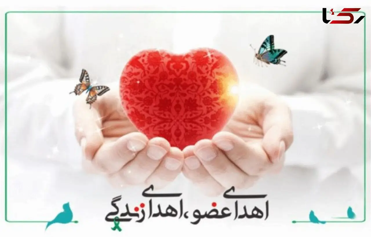 محمدآقایی جاغرق در مشهد فرشته نجات شد / همه برای او گریستند