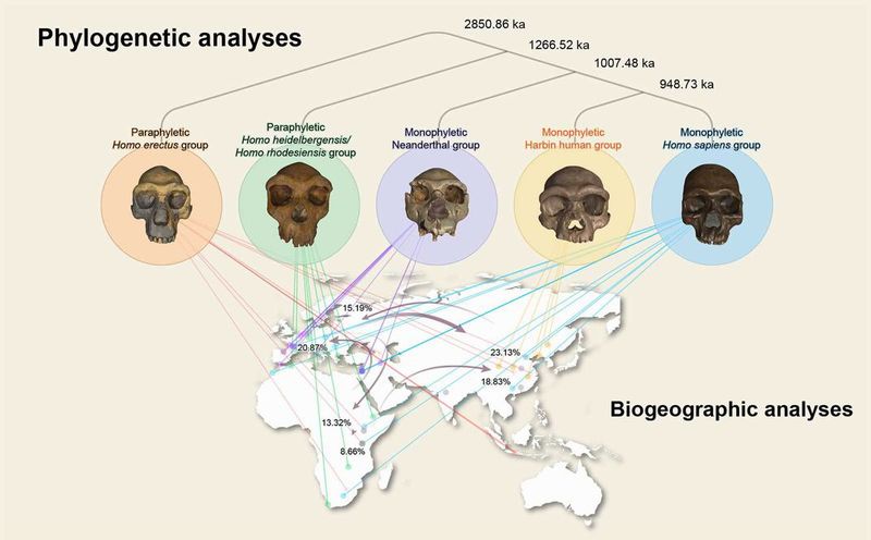 graphical abstract of xinn credit ni et al the innovation web