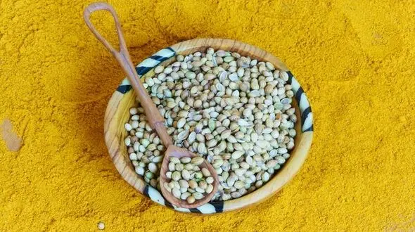 ترنجبین طبیعی ترین تب بر