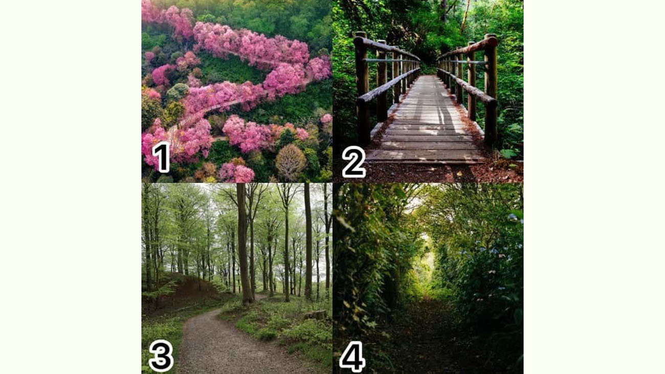 تست : کدام تصویر را انتخاب می کنید ؟! / خودتان را بشناسید !