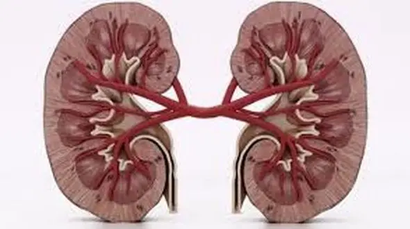 نشانه‌های یکی از خطرناک‌ترین سرطان‌ها 