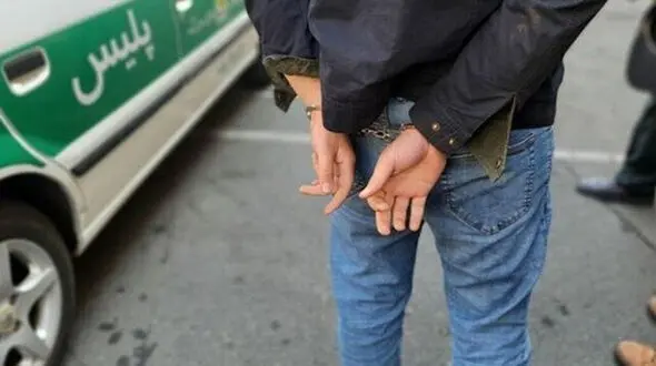 دستگیری یک سارق و کشف ۵۰ فقره سرقت در بیرجند