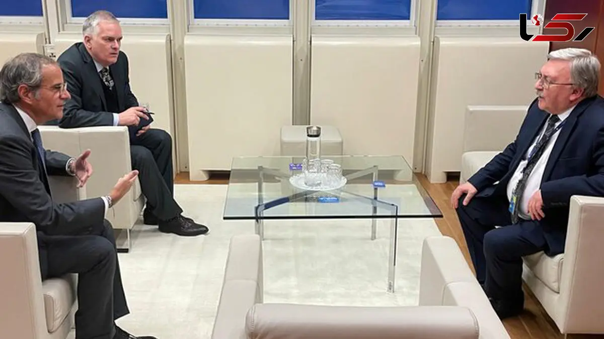 رایزنی اولیانوف و گروسی درباره ایران و اوکراین