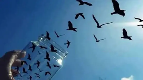 خواهر و برادر اصفهانی بعد از مرگ پدر در زندان فرشته شدند 