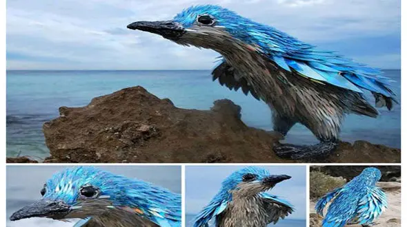 ساخت مجسمه های خارق العاده با سی دی های شکسته+عکس