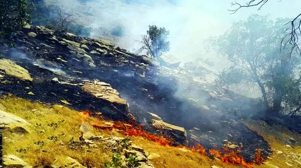 آتش سوزی مراتع بروجن مهار شد 