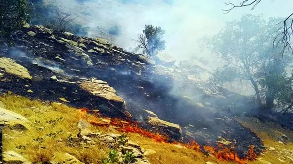 آتش سوزی مراتع بروجن مهار شد 