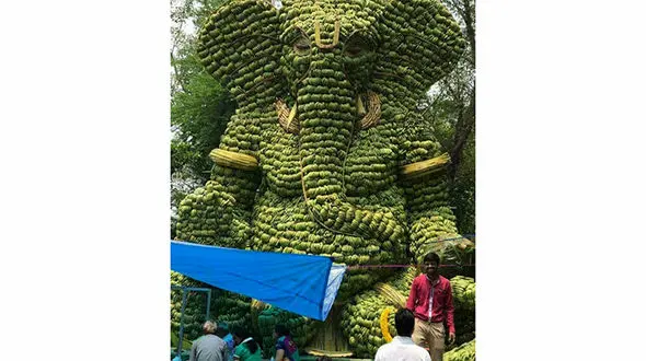 خلاقیت جالب یک هندی برای فروختن موز! +عکس
