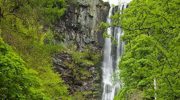 زنده ماندن پسر 3 ساله پس از سقوط از آبشار 46 متری! + عکس 