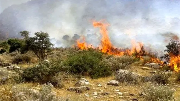 آتش‌سوزی در مراتع جنگل ابر شاهرود/ کردرو در محاصره شعله‌ها 