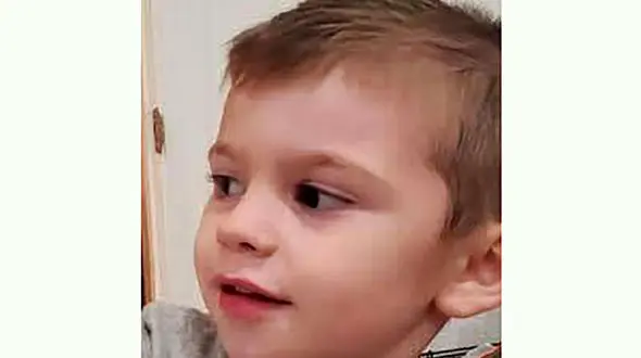 2 سگ کودکی را دریدند + عکس