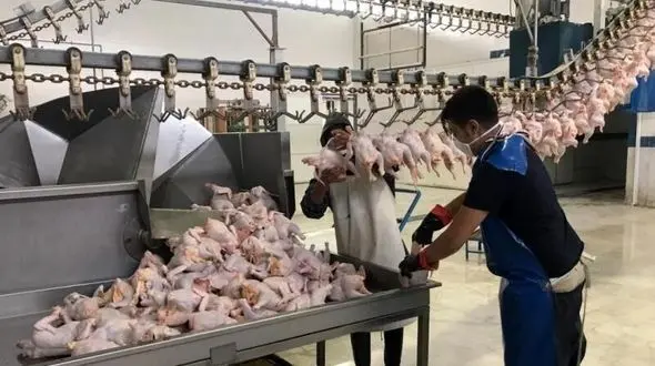 راه اندازی اولین تونل انجمادسریع در استان