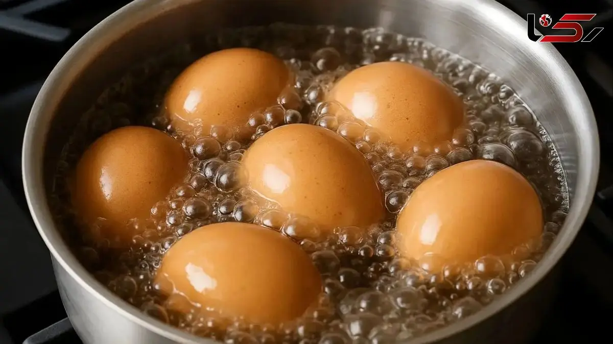 نمک در تخم‌مرغ آبپز؛ رمز موفقیت در آشپزی