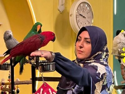 (فیلم) گلایه المیرا شریفی مقدم از قیمت خیار: موز 118 هزار تومان، بعد اونوقت خیار 100 هزار تومان؟!