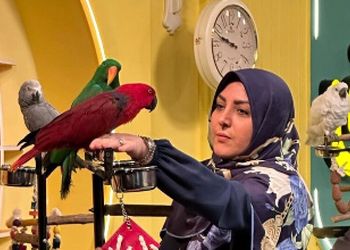 (فیلم) گلایه المیرا شریفی مقدم از قیمت خیار: موز 118 هزار تومان، بعد اونوقت خیار 100 هزار تومان؟!