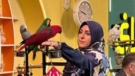 (فیلم) گلایه المیرا شریفی مقدم از قیمت خیار: موز 118 هزار تومان، بعد اونوقت خیار 100 هزار تومان؟!