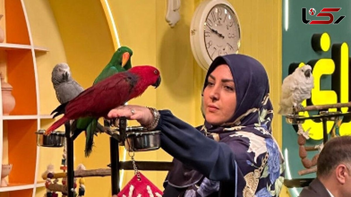 (فیلم) گلایه المیرا شریفی مقدم از قیمت خیار: موز 118 هزار تومان، بعد اونوقت خیار 100 هزار تومان؟!