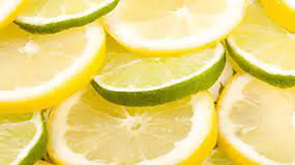 لیموترش در خانه چگونه بکاریم؟ + فیلم