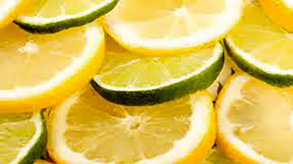 لیموترش در خانه چگونه بکاریم؟ + فیلم