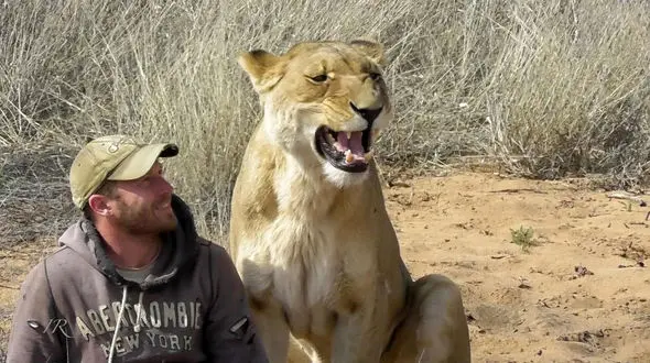 لحظه دیدار احساسی ماده شیر با صاحب اش در طبیعت پس از 6 ماه دوری + فیلم 