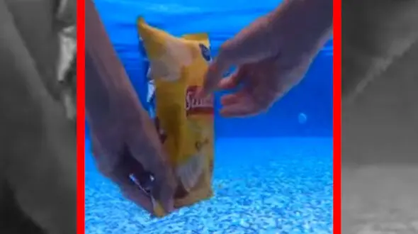 فیلم لحظه باز شدن بسته چیپس زیر آب