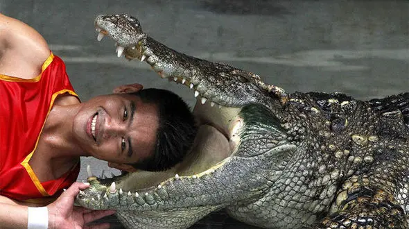 فیلم/ غافلگیری خونبار یک تمساح برای یک مرد در حین نمایش خیابانی مقابل چشم مردم!