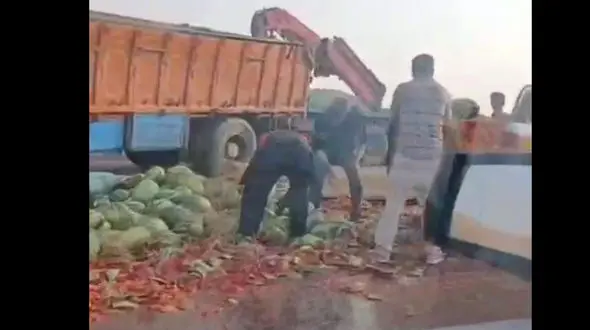 فیلم / هندوانه ها وسط جاده آسفالت سبز شدند/ اتفاق عجیب در جاده خواجه اهر 