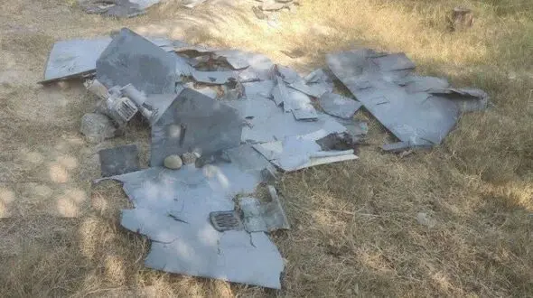 انهدام پهپاد لوکاس آمریکایی در بندرعباس

