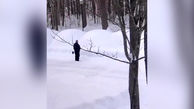 گم شدن ماشین زیر آوار برف + فیلم