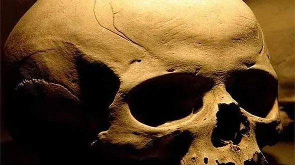 کشف جمجمه انسان در غار بی بی شهربانو 