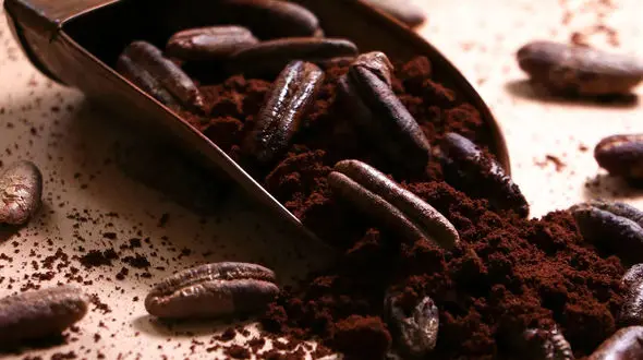 چگونه قهوه هسته خرما درست کنیم؟ 