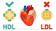 بهترین روش کاهش سطح کلسترول بد خون