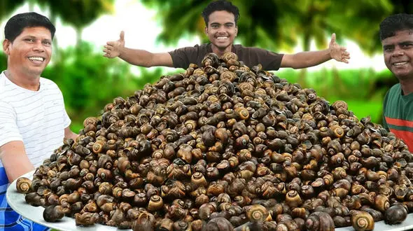 آیا تا به حال پخت خوراک حلزون روستایی در هند را دیده‌اید؟ / فیلم