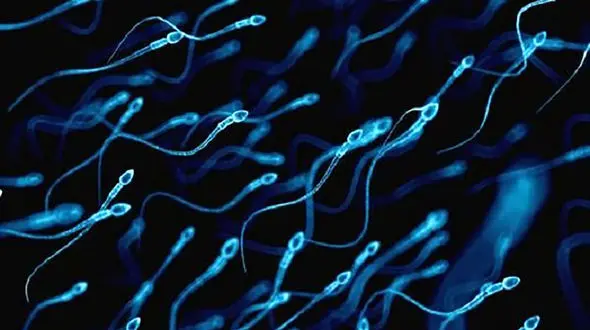 ویروس کرونا در اسپرم هم پیدا شد / انتقال جنسی کرونا امکان پذیر است؟