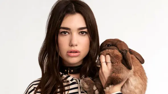 رکودشکنی‌ خواننده 22 ساله در یوتیوب 