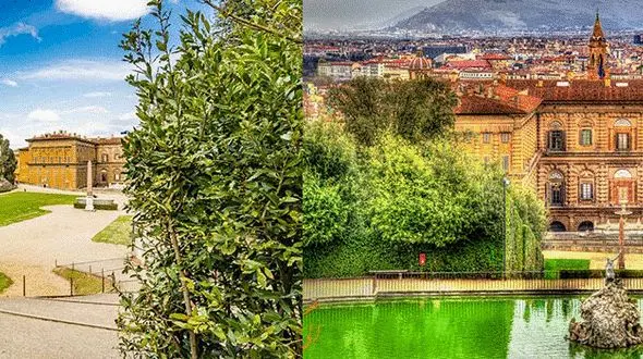 کاخ پیتی ؛ قصری با باغ های جاودانه +عکس های دیدنی 