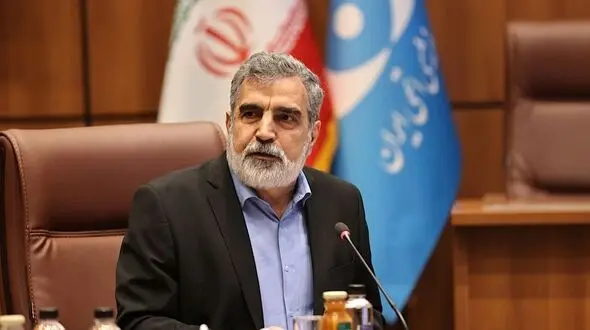 کمالوندی: در ساخت نیروگاه‌های هسته‌ای به خودکفایی رسیده‌ایم