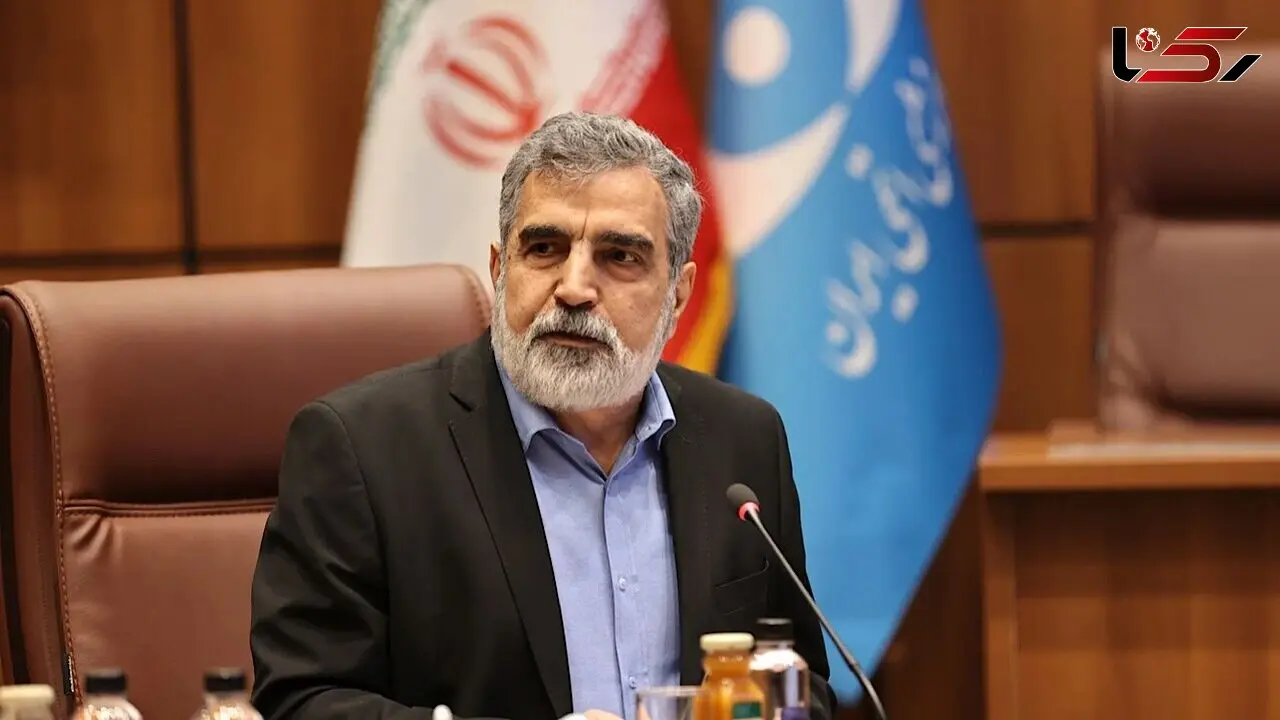 کمالوندی: در ساخت نیروگاه‌های هسته‌ای به خودکفایی رسیده‌ایم