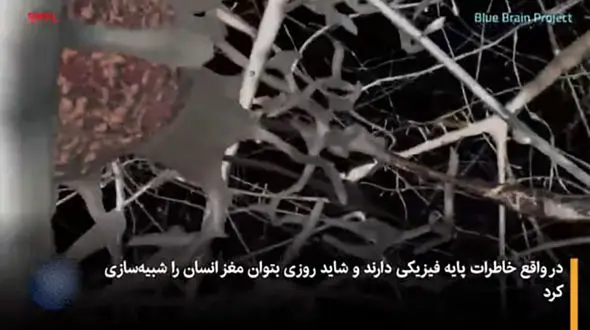 اسرار بازیابی خاطرات پس از مرگ فاش شد!