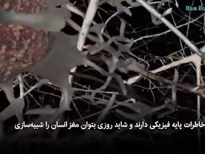 اسرار بازیابی خاطرات پس از مرگ فاش شد!