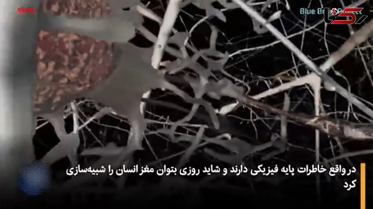اسرار بازیابی خاطرات پس از مرگ فاش شد!