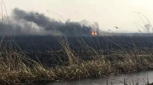 عمدی بودن علت ۹۰ درصد آتش سوزی‌ ها در هورالعظیم 