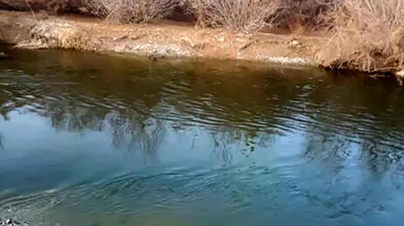 ماجرای غرق شدن یک کودک دو ساله در منطقه زیار 