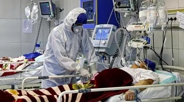 فوت 9  کرونایی جدید در بوشهر/ جانباختگان 145 نفر شدند