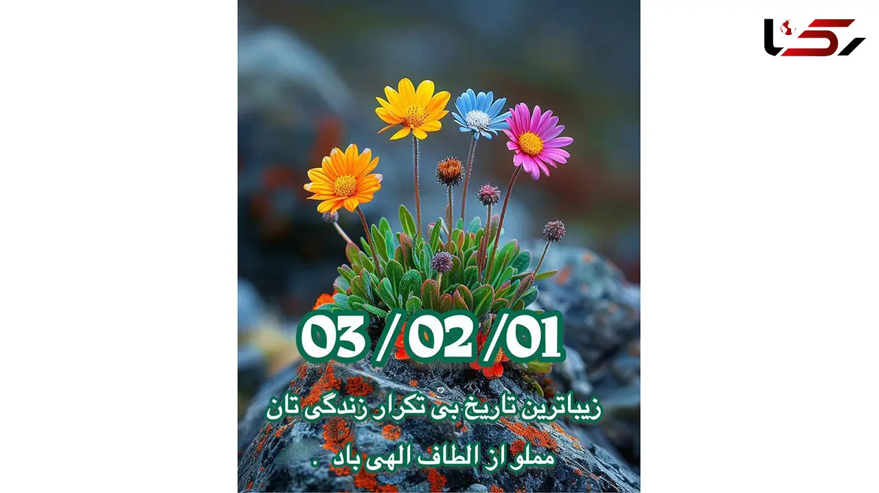 فال قهوه اول اردیبهشت 1403 / فیلم