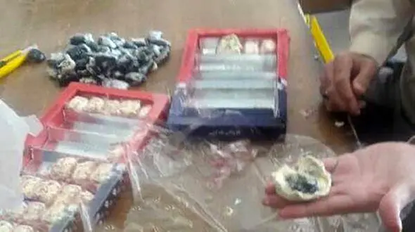 تریاک گزی در اصفهان لو رفت